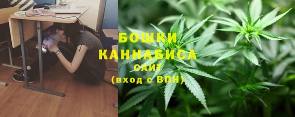 МДПВ Пестово
