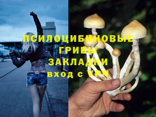 МДПВ Пестово