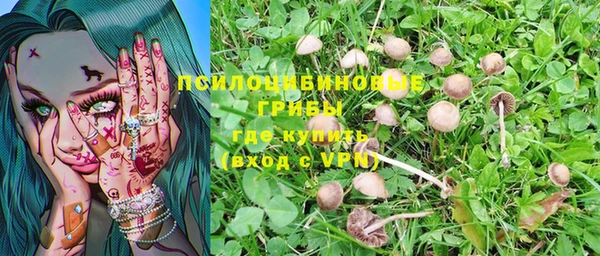 не бодяженный Пересвет
