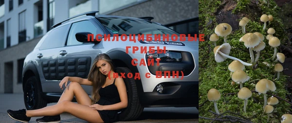 МДПВ Пестово