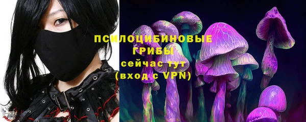не бодяженный Пересвет