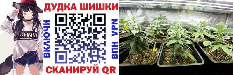 Купить закладки  Правдинск  Шишки марихуана VHQ 